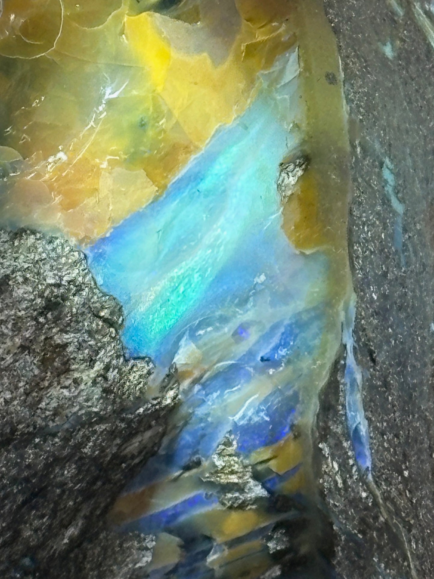 Boulder Opal XXL über 22,5Kg, in bester Qualität Museumsstück der vermutlich größte australische Edelopal im deutschsprachigen Raum