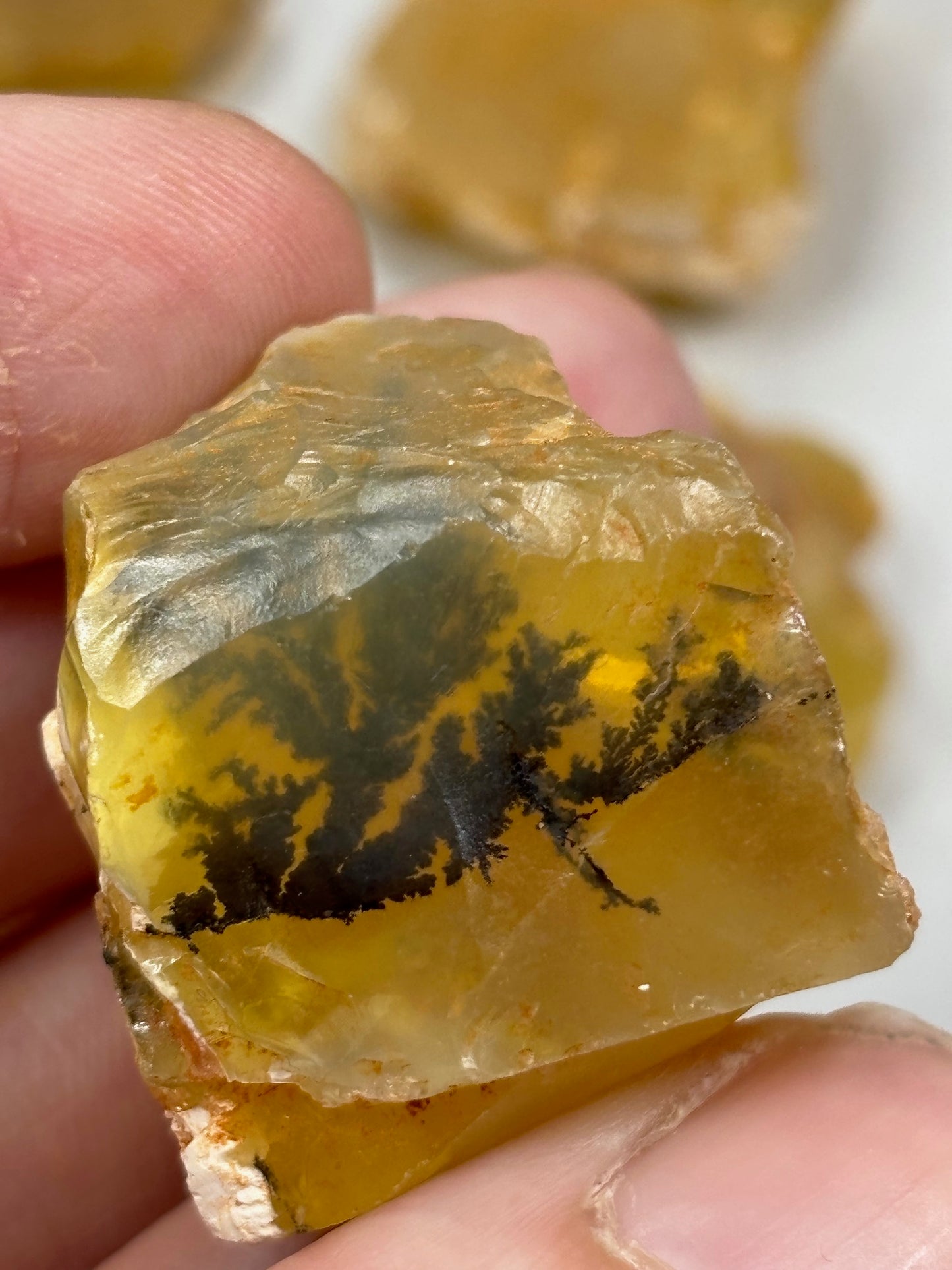 Opal gelb Honigopal, Edelsteinqualität Dendritenopal Goldopal, Madu Opal