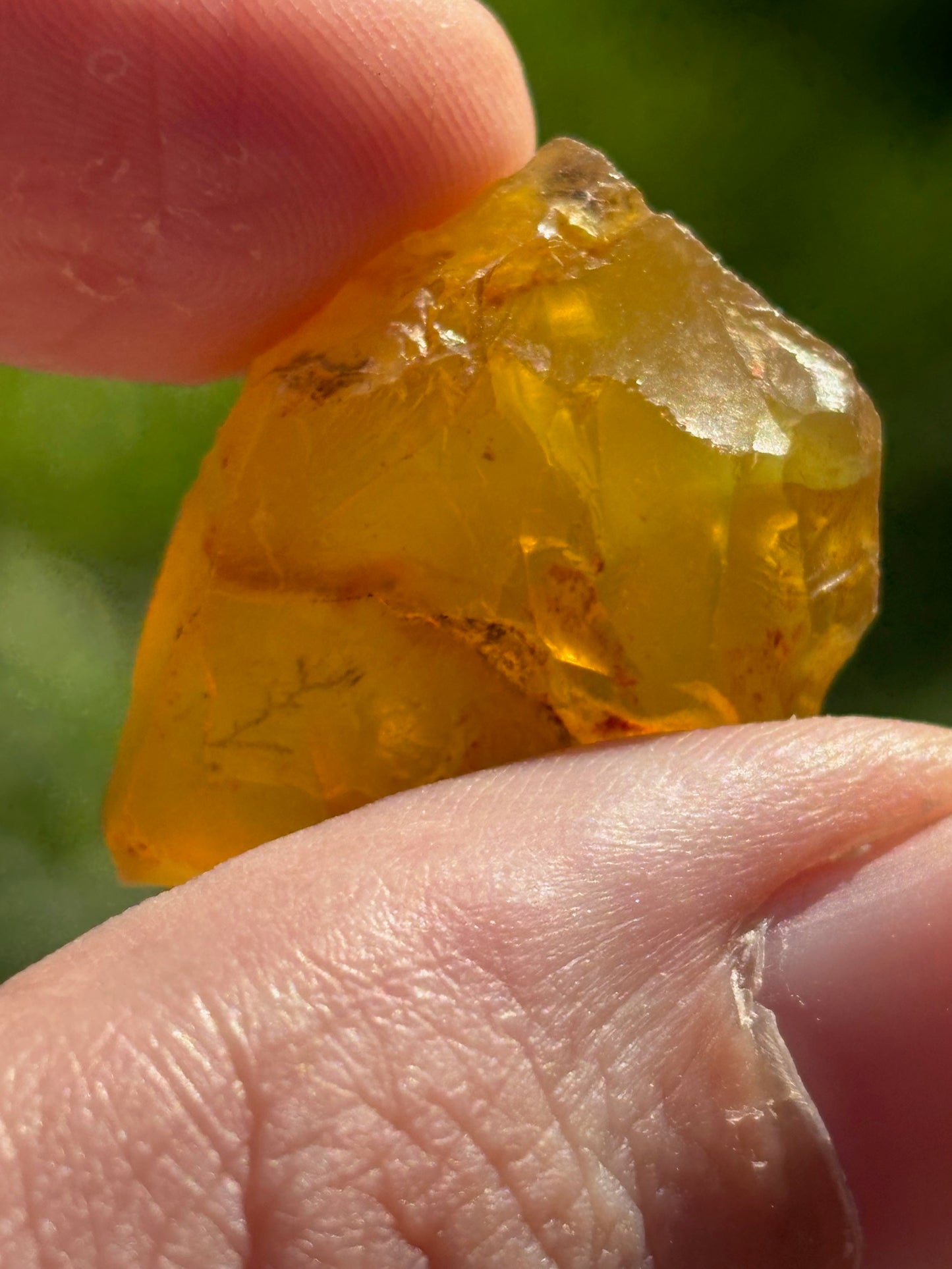 Opal gelb Honigopal, Edelsteinqualität Dendritenopal Goldopal, Madu Opal