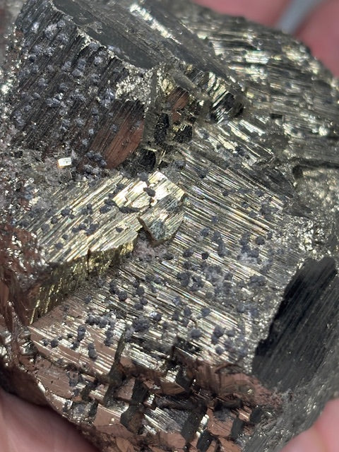 Pyrit Pentagondodekaeder Peru XL beste Qualität, Museumsstück, Katzengold