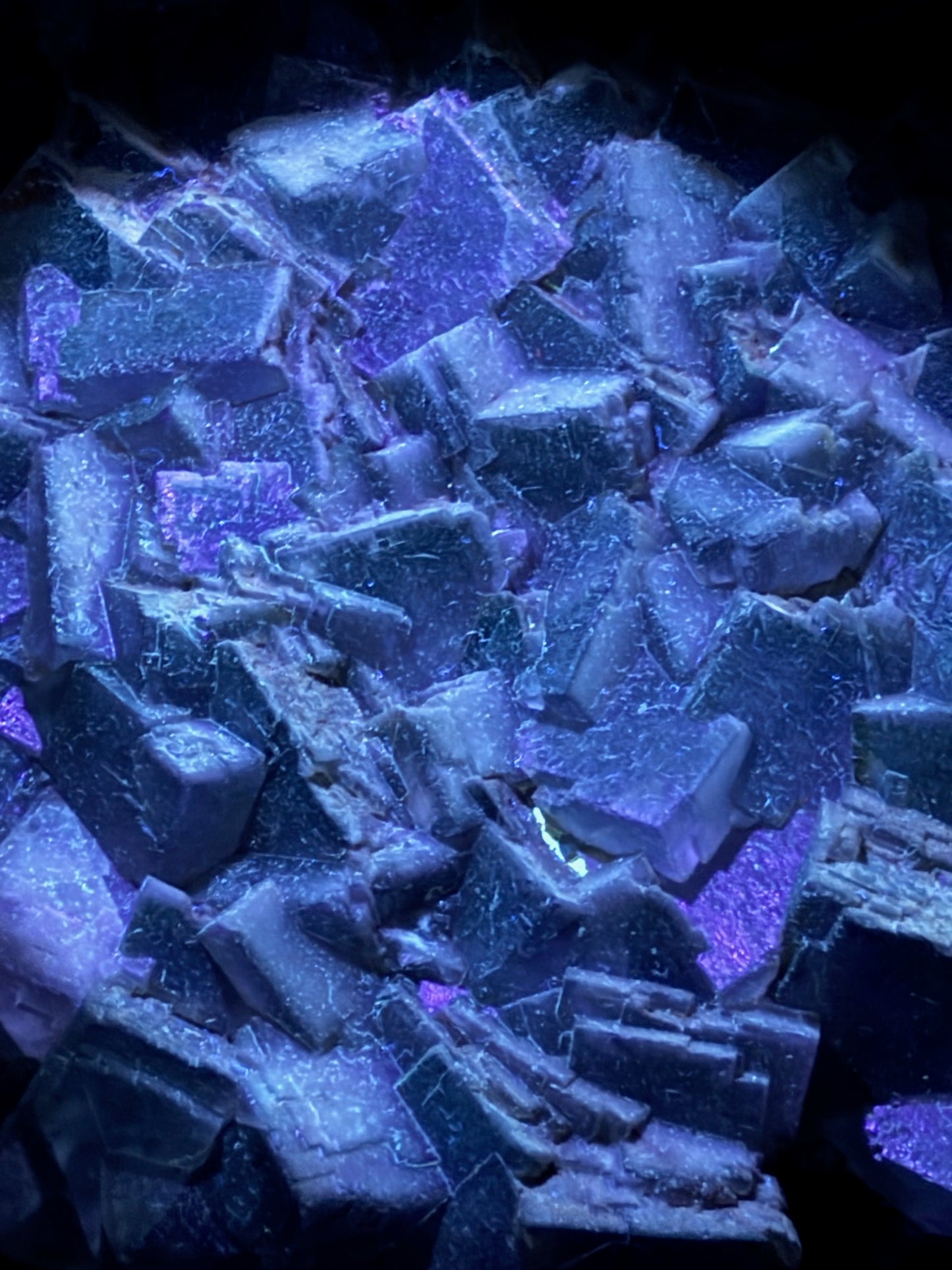 Fluorit grün violett XXL (UV Aktiv) Wölsendorf Bayern Deutschland, Museumsstück Regenbogenfluorit Würfel Oktaeder