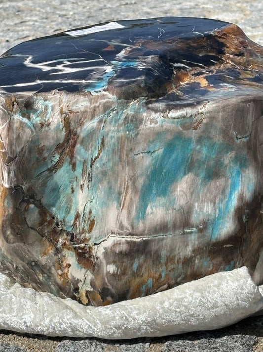Versteinertes Holz mit Chrysokoll ca. 29Kg, Museumsstück Rarität XXL fossiler Baumstamm Garut Indonesien, in bester Qualität
