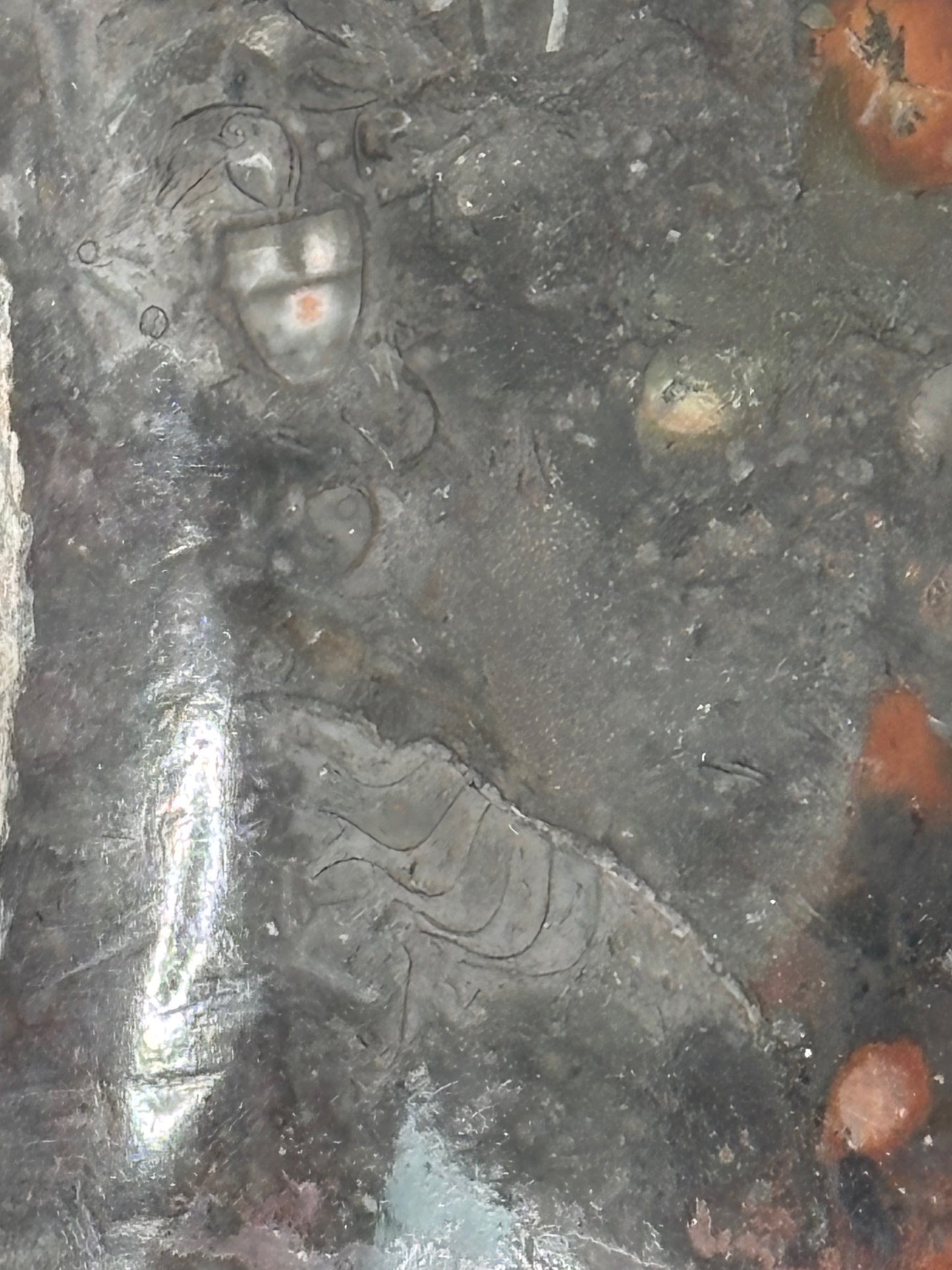 Ammoniten Goniatiten Skulptur XXL (ca. 20Kg) in bester Qualität, Fossilien Statue Rarität zum Großhandelspreis, Orthoceras Ammonitenwand