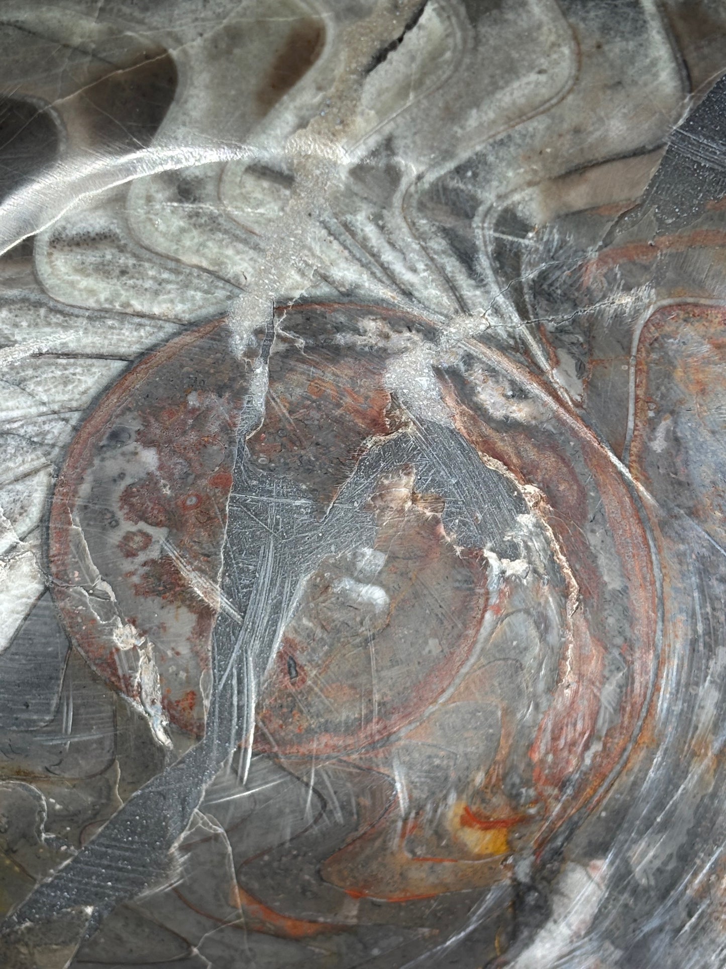 Ammoniten Goniatiten Skulptur XXL (ca. 20Kg) in bester Qualität, Fossilien Statue Rarität zum Großhandelspreis, Orthoceras Ammonitenwand