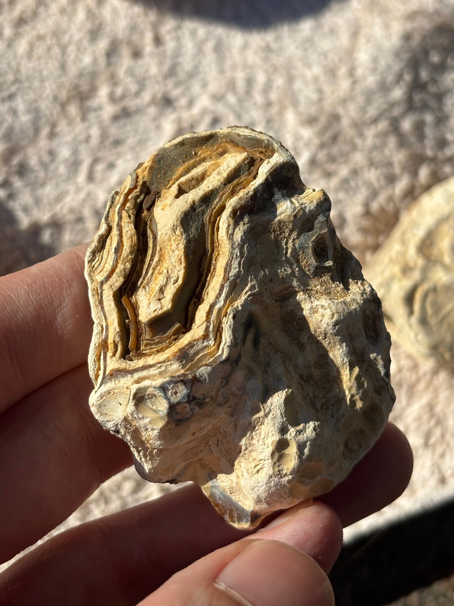 Verschiedene Achat Rohsteine, Knollen, Karneol, Chalcedon