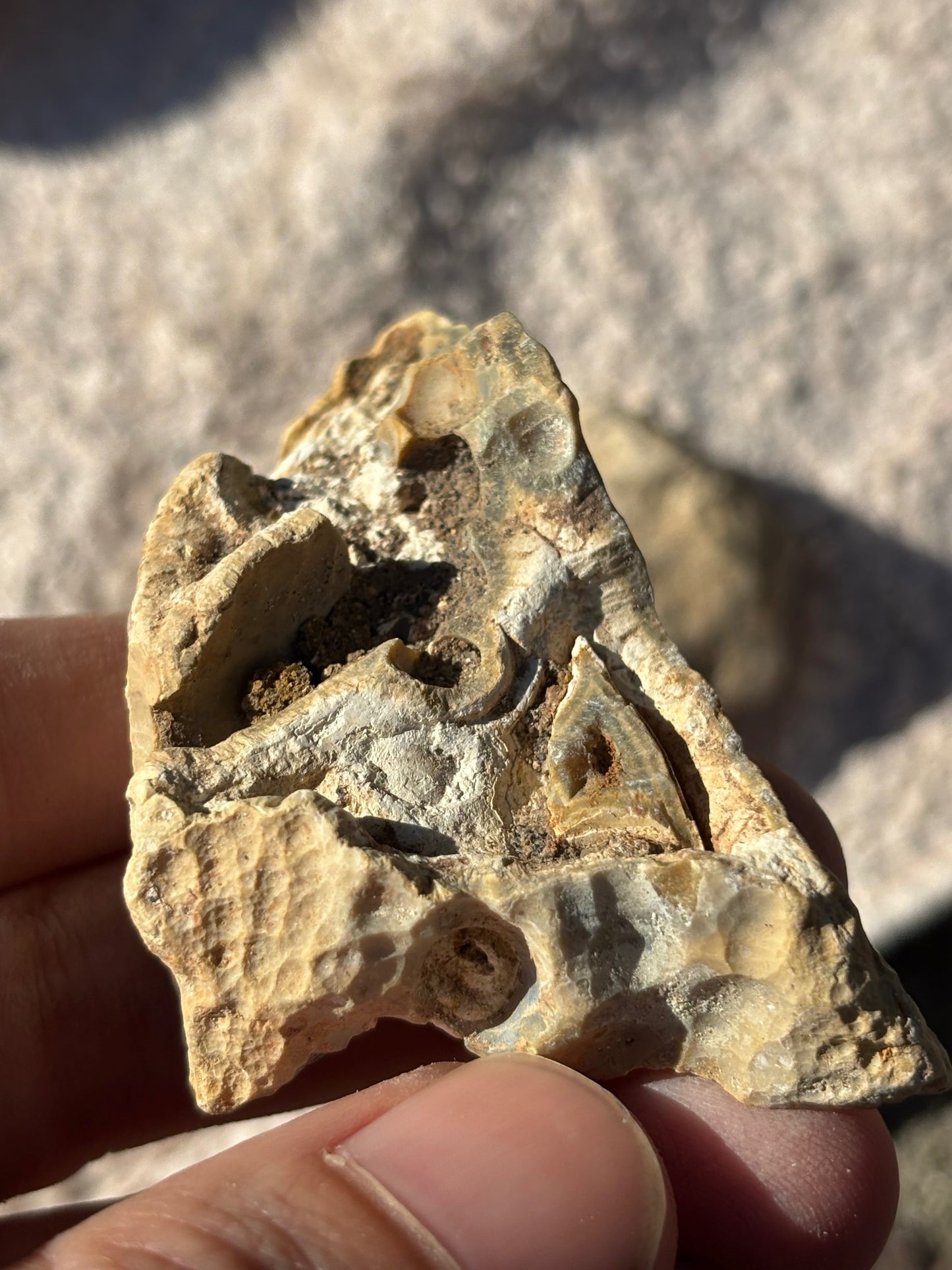 Verschiedene Achat Rohsteine, Knollen, Karneol, Chalcedon