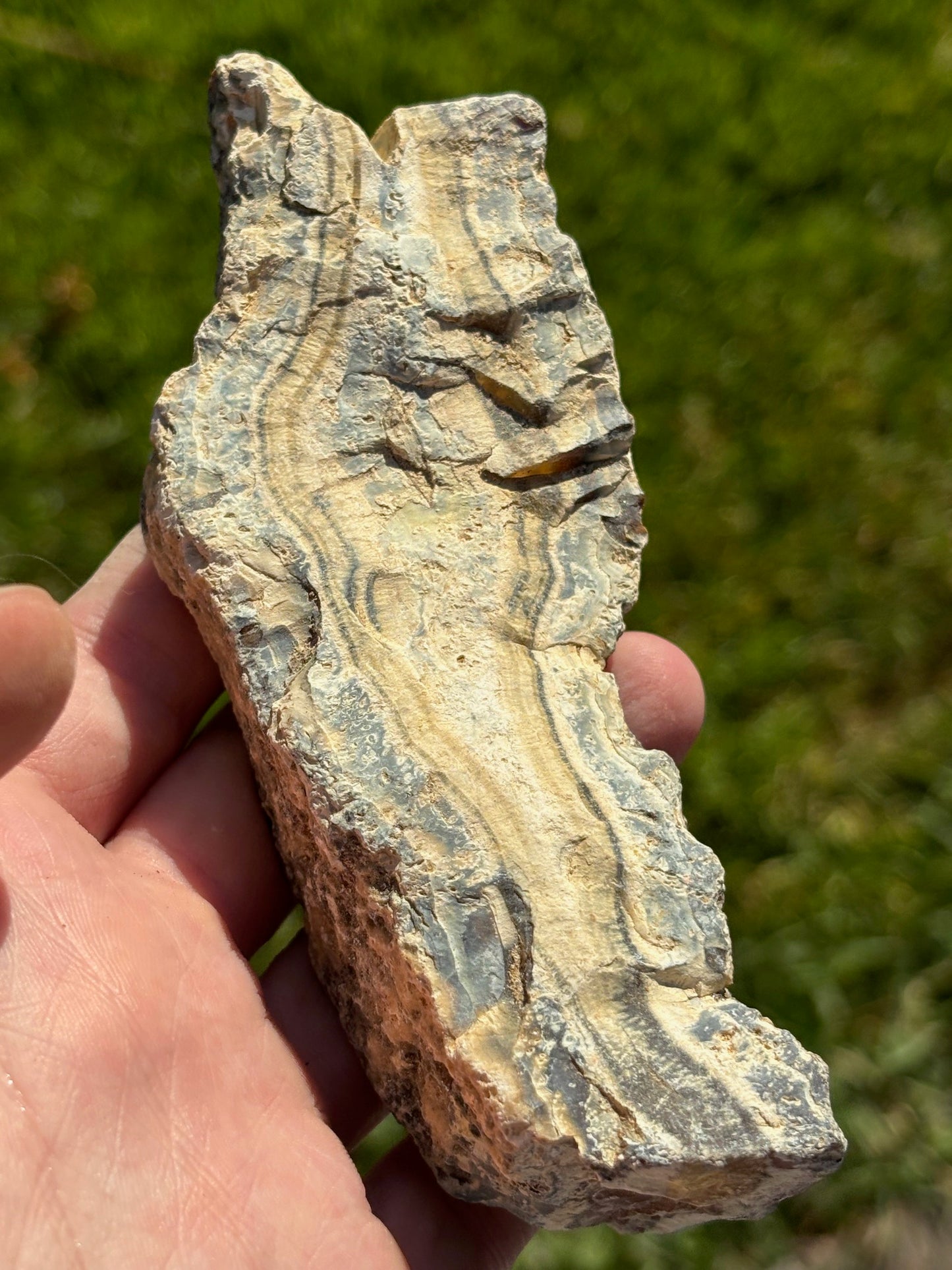 Verschiedene Achat Rohsteine, Knollen, Karneol, Chalcedon