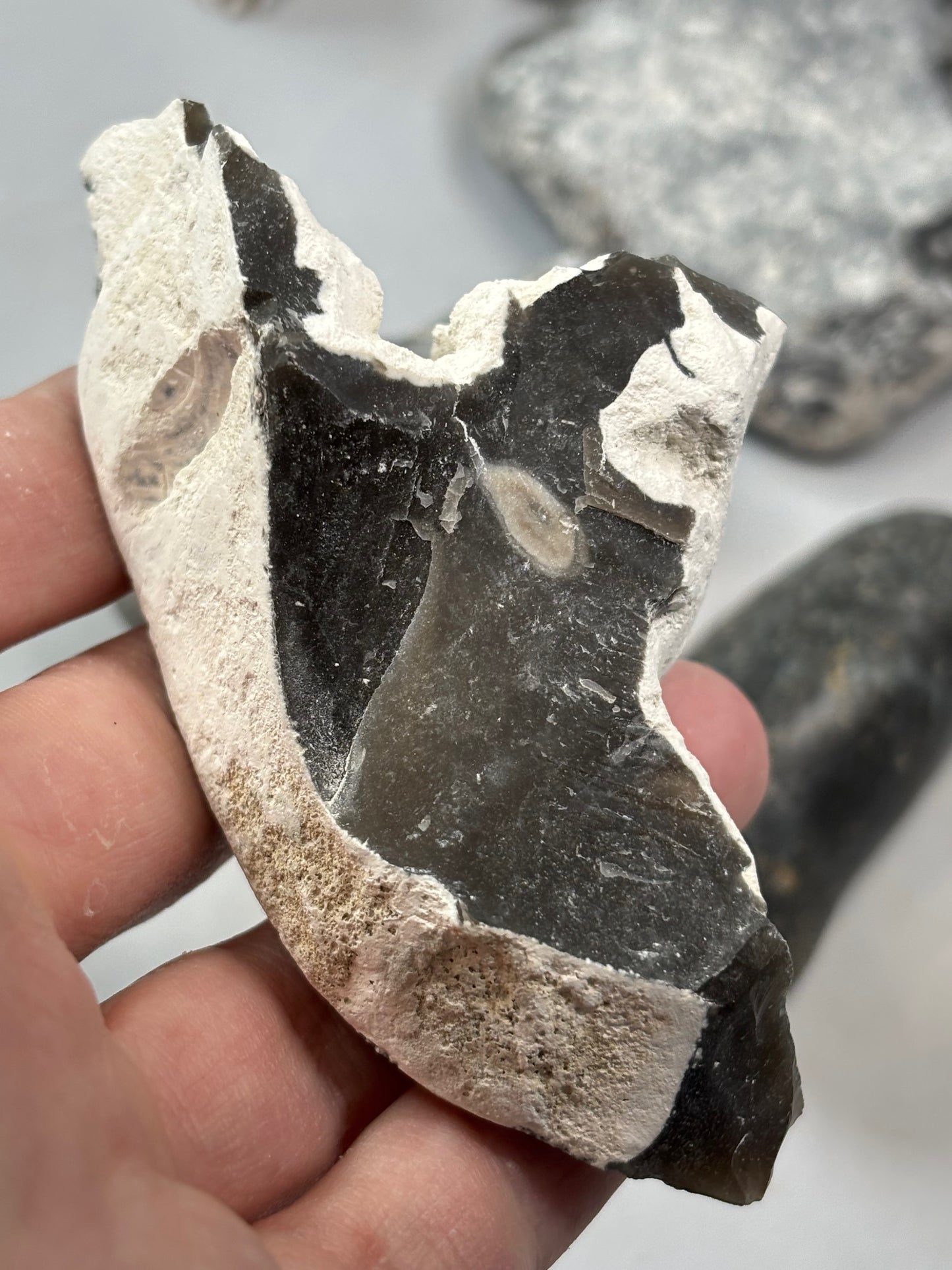 Flint Feuerstein Rohsteine Ostsee, naturbelassen & in bester Qualität