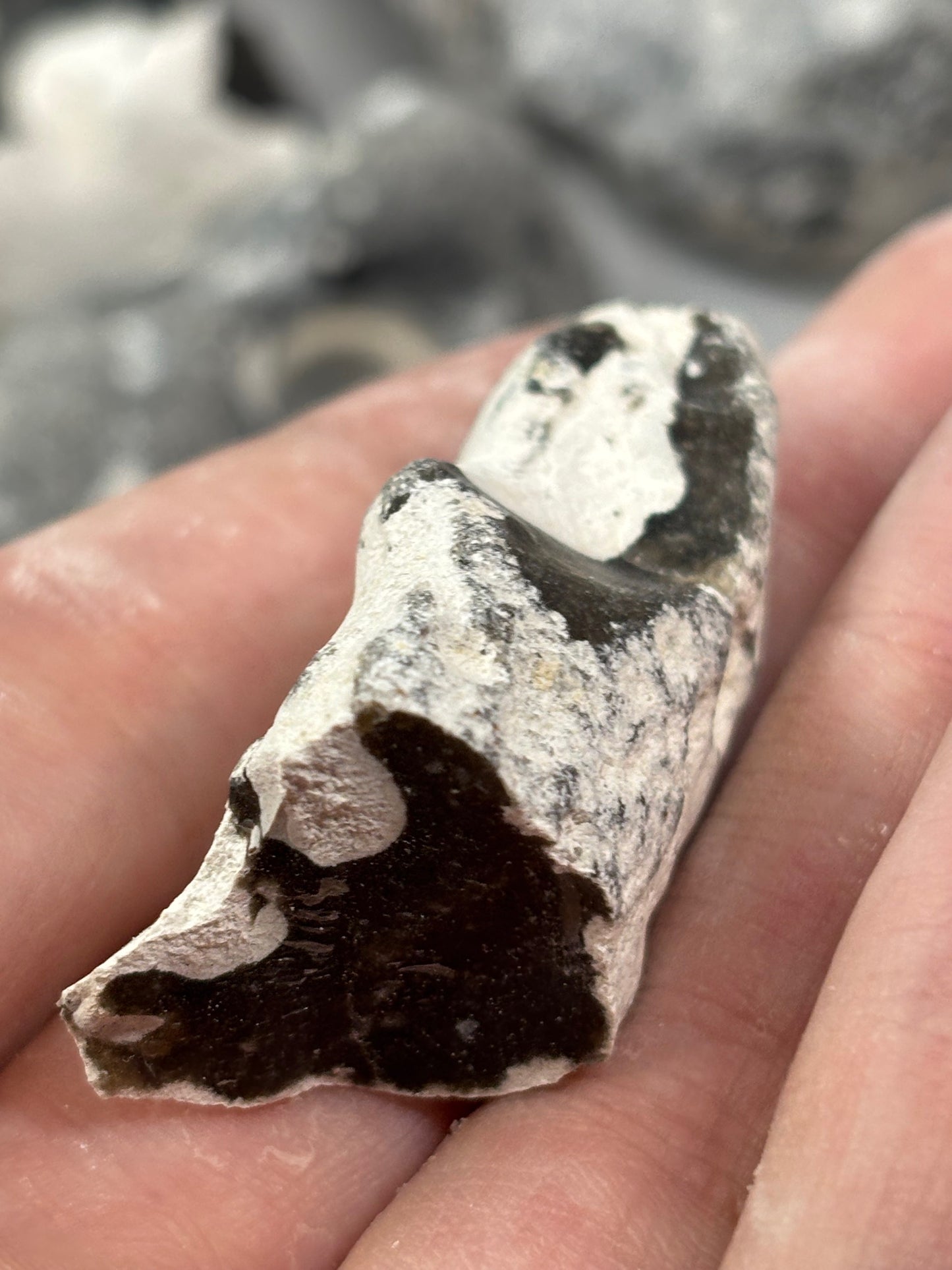 Flint Feuerstein Rohsteine Ostsee, naturbelassen & in bester Qualität