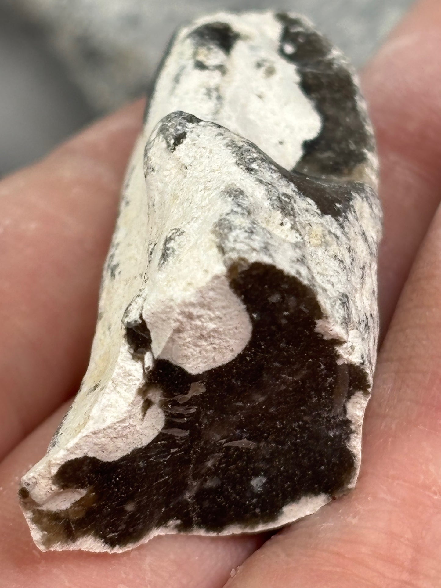 Flint Feuerstein Rohsteine Ostsee, naturbelassen & in bester Qualität