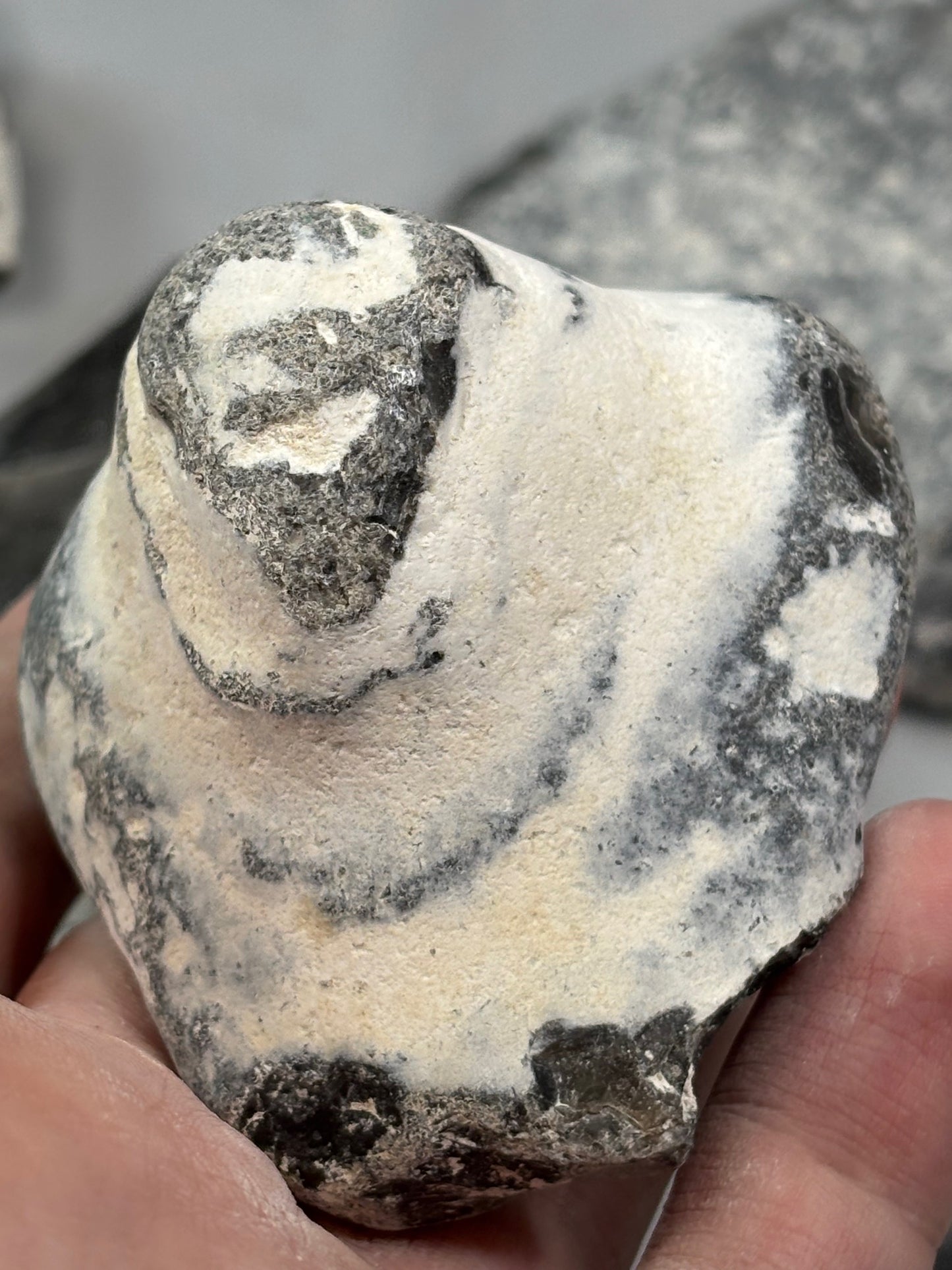 Flint Feuerstein Rohsteine Ostsee, naturbelassen & in bester Qualität