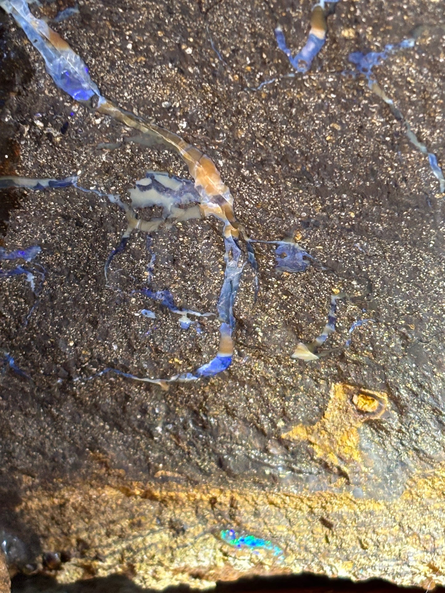 Boulder Opal XXL über 22,5Kg, in bester Qualität Museumsstück der vermutlich größte australische Edelopal im deutschsprachigen Raum