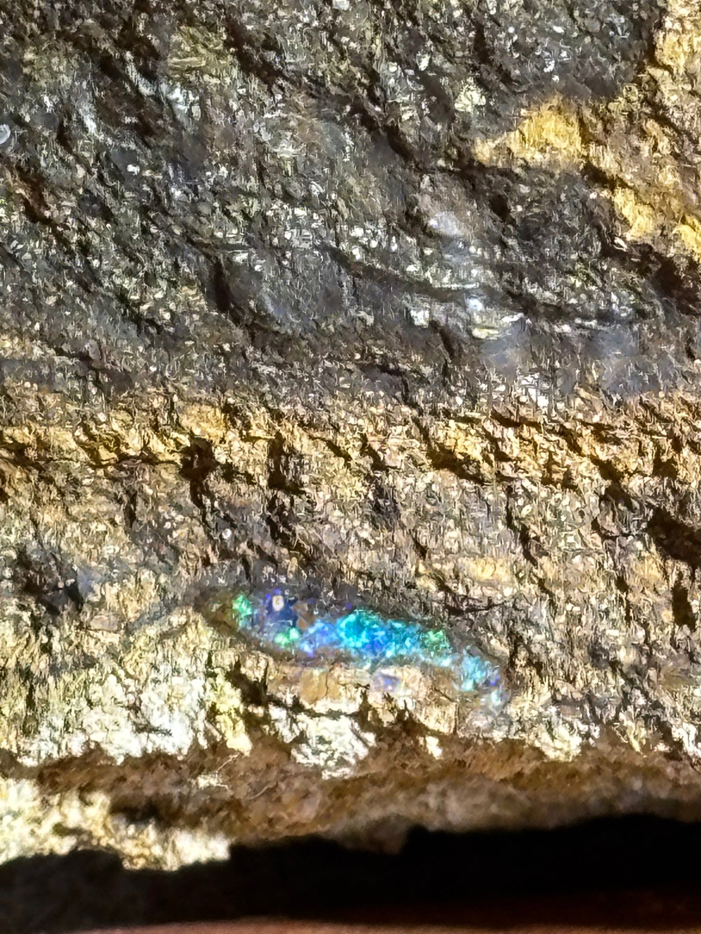 Boulder Opal XXL über 22,5Kg, in bester Qualität Museumsstück der vermutlich größte australische Edelopal im deutschsprachigen Raum