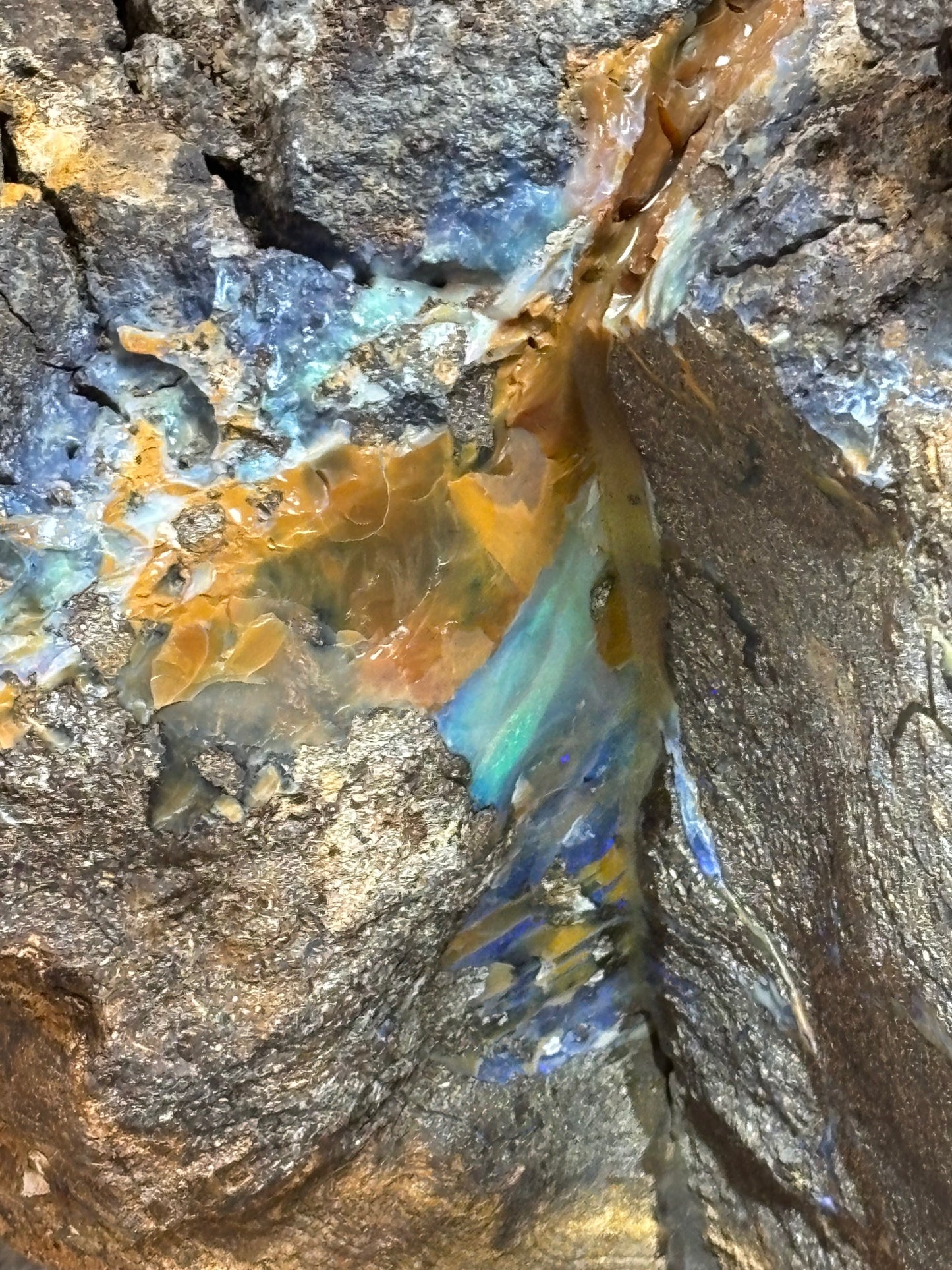 Boulder Opal XXL über 22,5Kg, in bester Qualität Museumsstück der vermutlich größte australische Edelopal im deutschsprachigen Raum