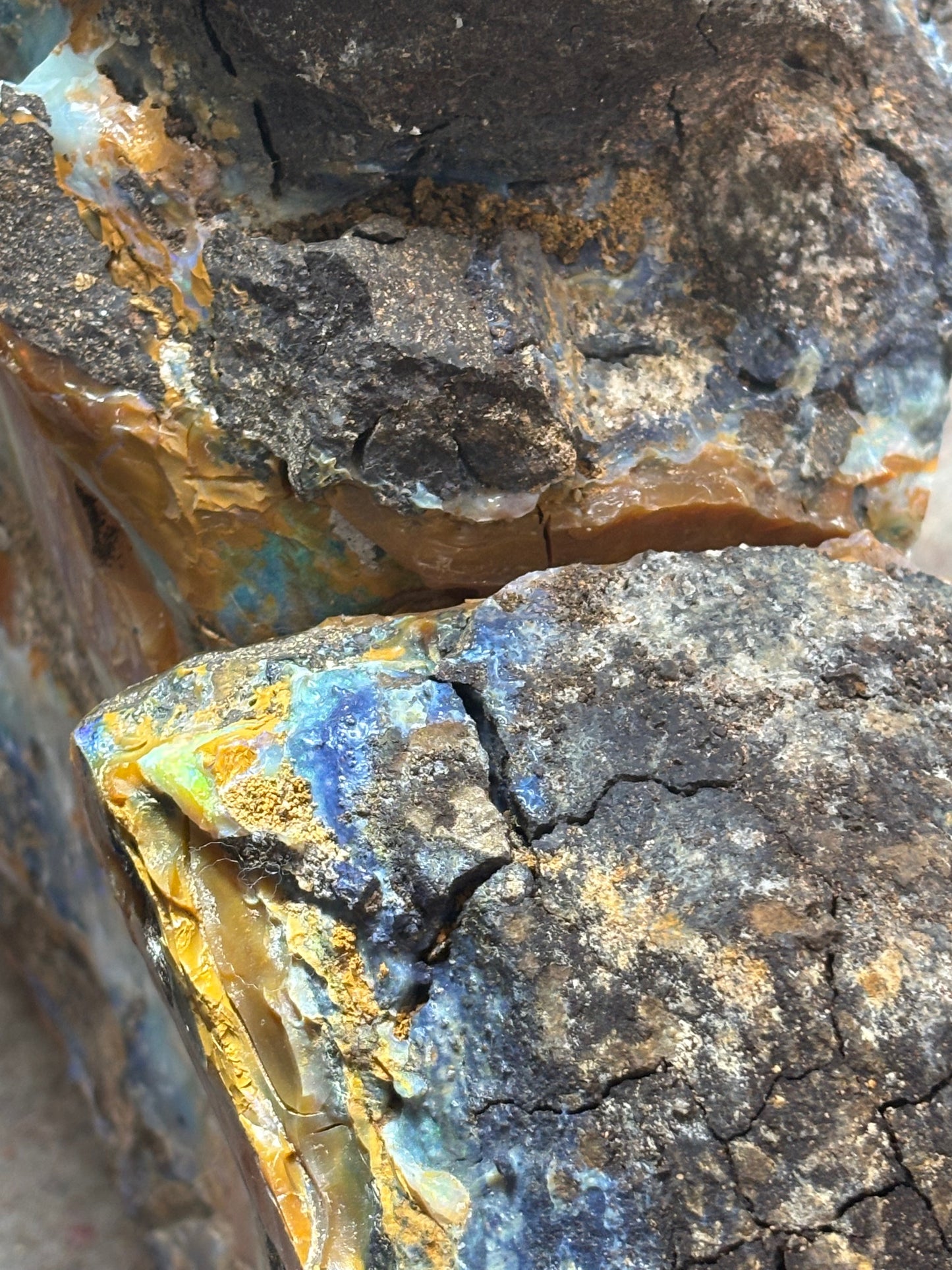 Boulder Opal XXL über 22,5Kg, in bester Qualität Museumsstück der vermutlich größte australische Edelopal im deutschsprachigen Raum