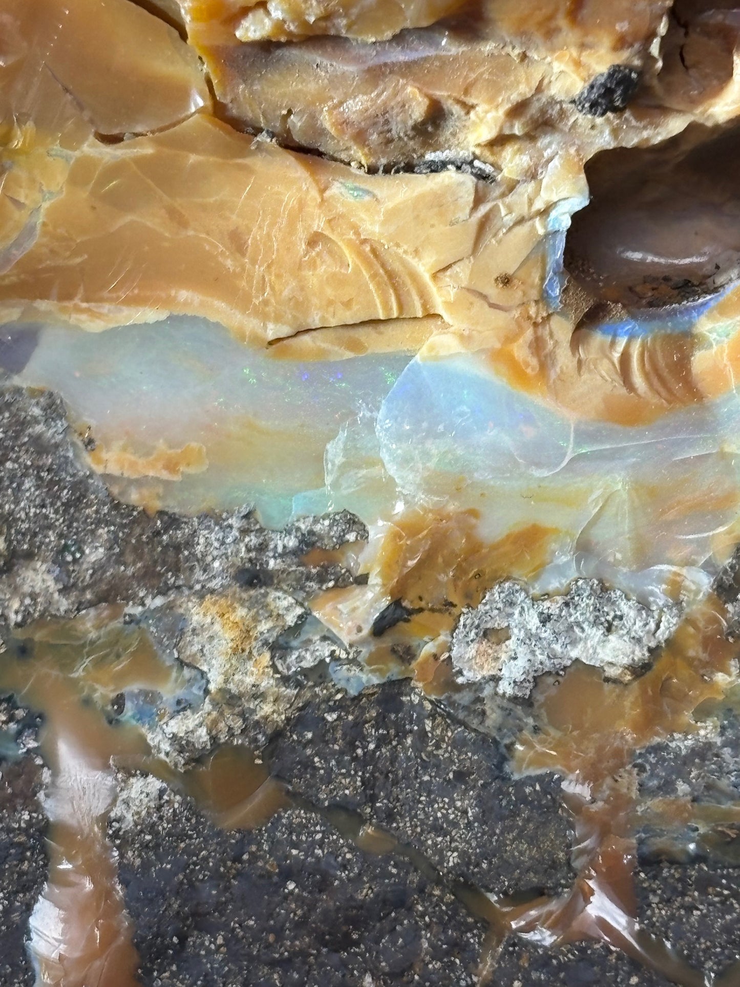 Boulder Opal XXL über 22,5Kg, in bester Qualität Museumsstück der vermutlich größte australische Edelopal im deutschsprachigen Raum