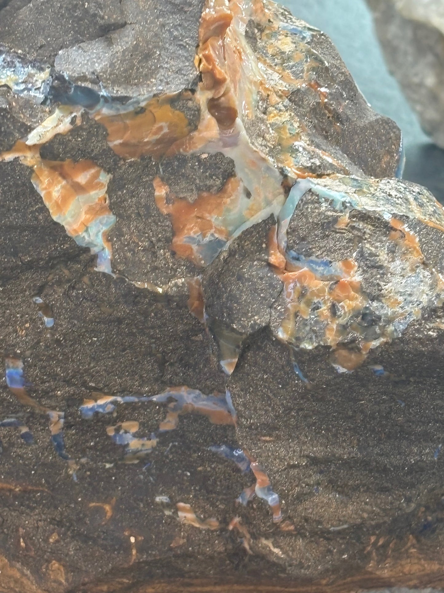 Boulder Opal XXL über 22,5Kg, in bester Qualität Museumsstück der vermutlich größte australische Edelopal im deutschsprachigen Raum