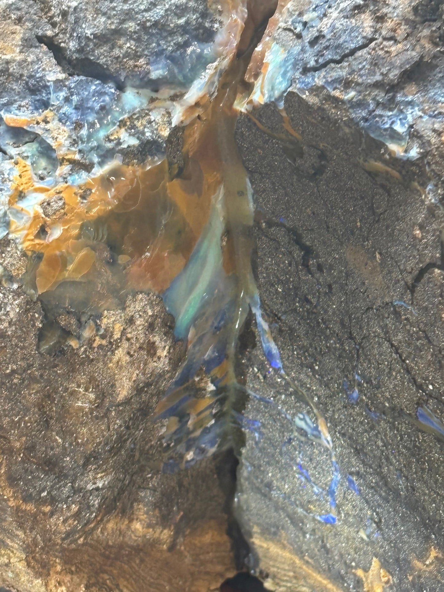 Boulder Opal XXL über 22,5Kg, in bester Qualität Museumsstück der vermutlich größte australische Edelopal im deutschsprachigen Raum