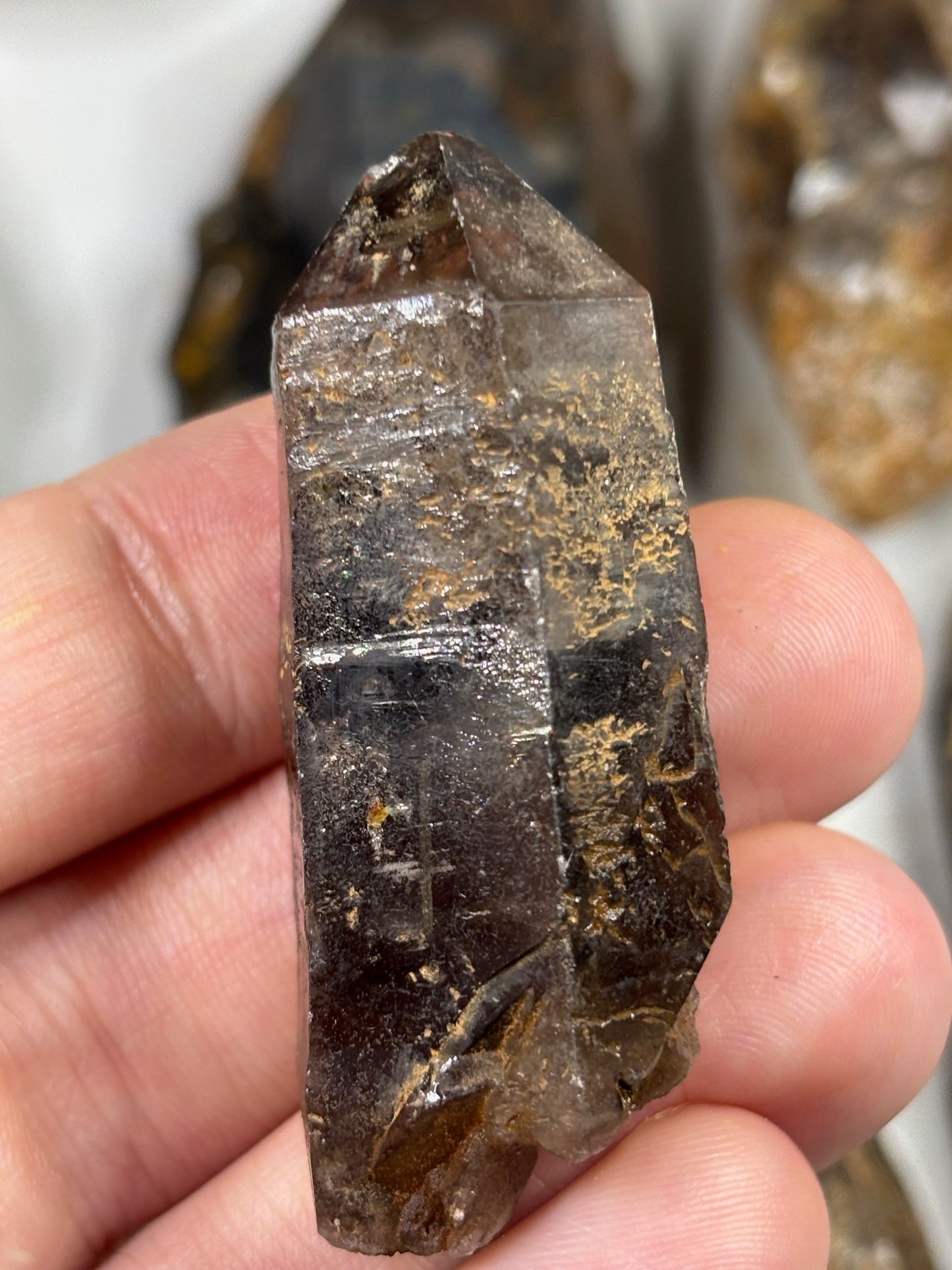 Rauchquarz Kristalle & Kristallstücke, Malawi Morion teilweise sehr transparent Elestial Jacaré Quarz Phantomquarz Ägirin Akmit Feldspat Zomba