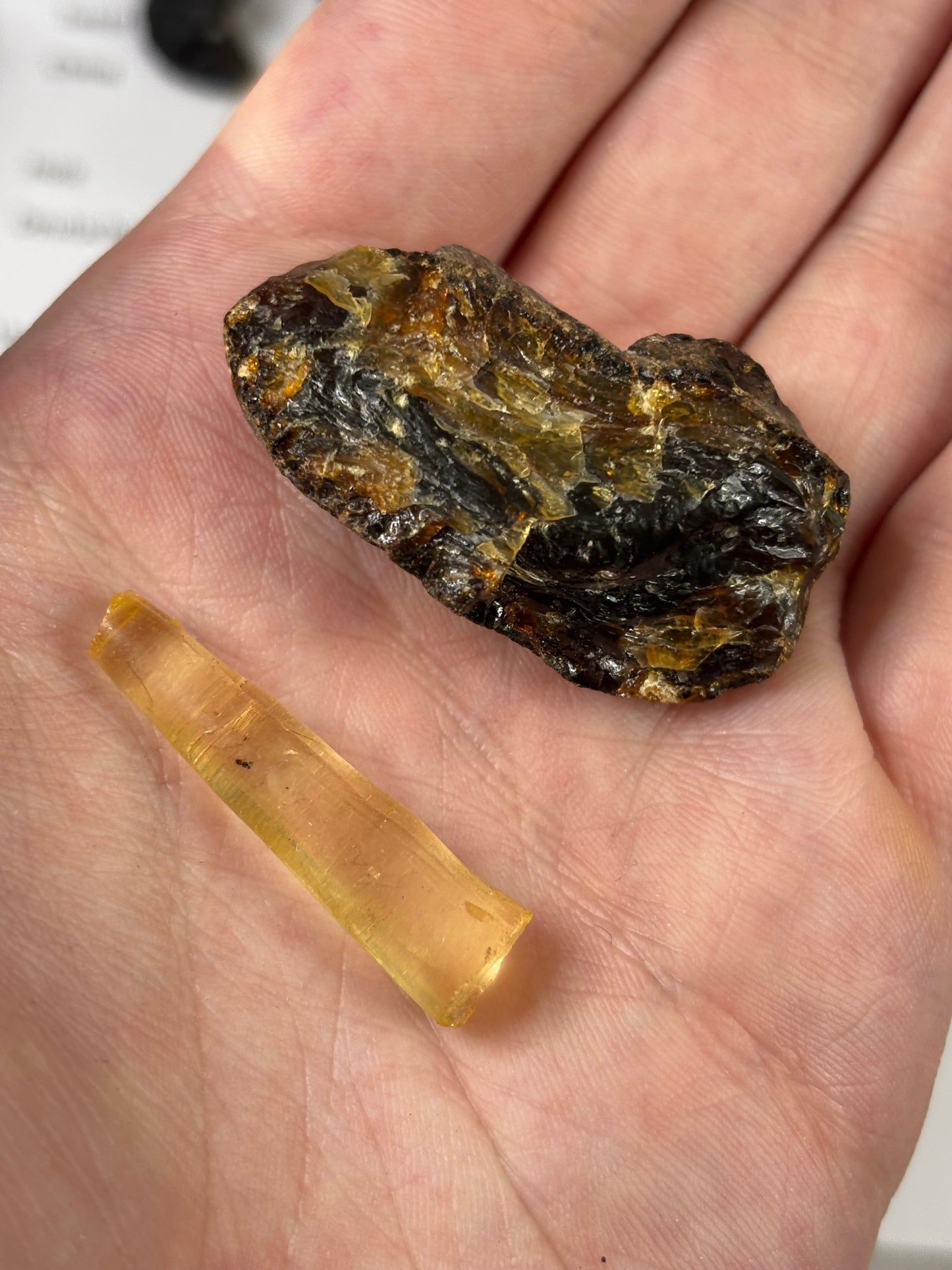 Fossilien Sammlung mit 25 Stück (Adventkalender)