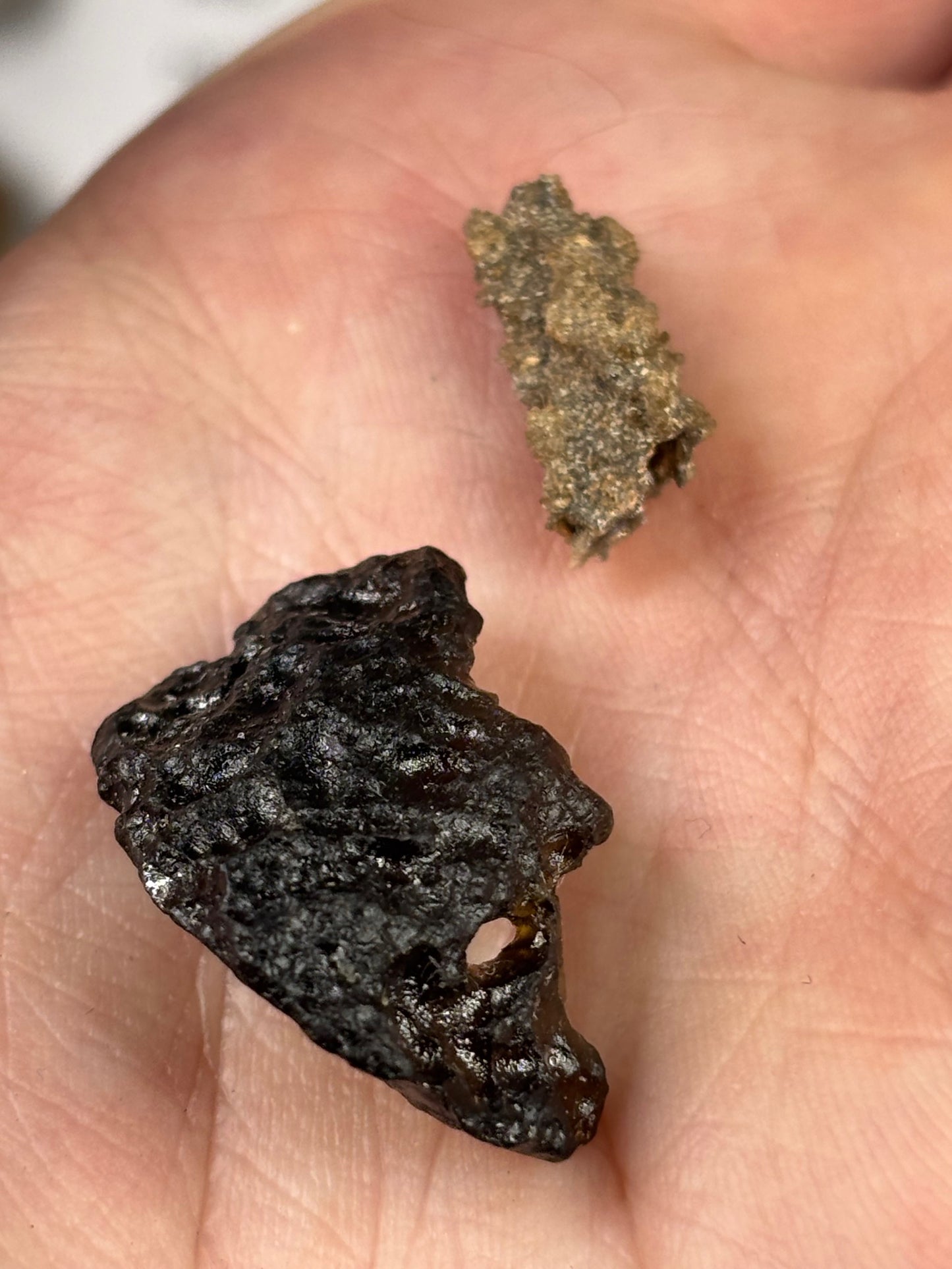 Fossilien Sammlung mit 25 Stück (Adventkalender)