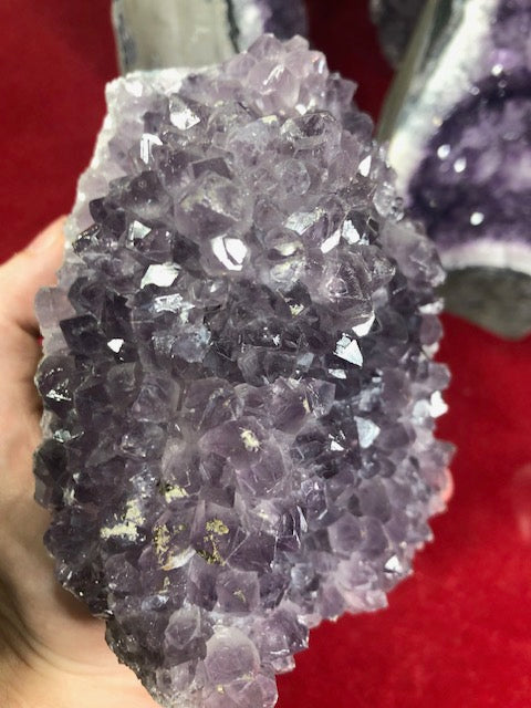 Amethyst Drusenstück groß & freistehend, beste Qualität