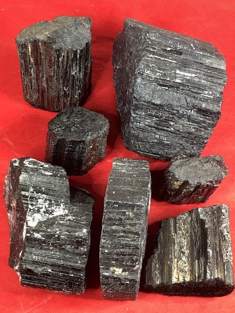 Schwarze Turmalin Kristalle teilweise freistehend, Schörl Schorl