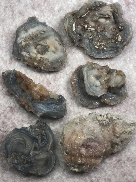 Chalcedon Rosette vollständig & in bester Qualität, Schlangenachat, Chalcedon Rose