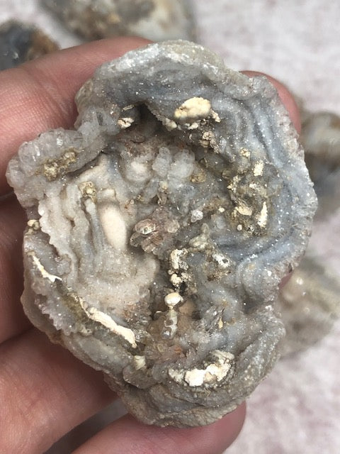 Chalcedon Rosette vollständig & in bester Qualität, Schlangenachat, Chalcedon Rose