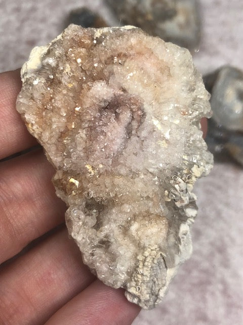Chalcedon Rosette vollständig & in bester Qualität, Schlangenachat, Chalcedon Rose