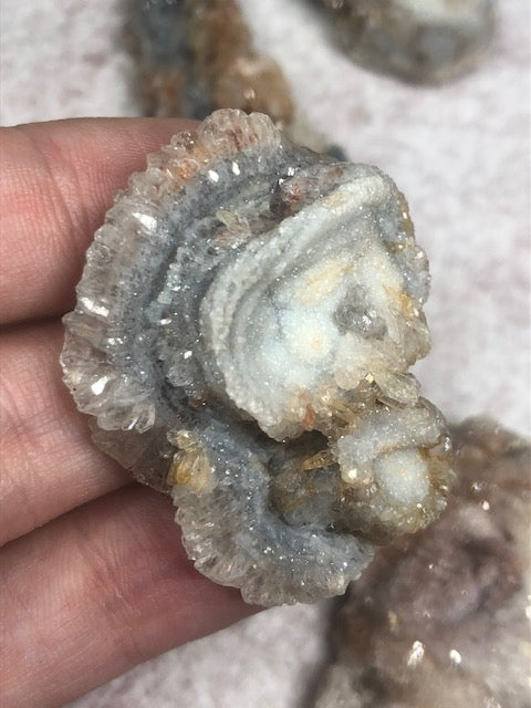 Chalcedon Rosette vollständig & in bester Qualität, Schlangenachat, Chalcedon Rose