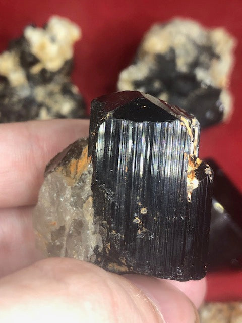 Schwarze Turmalin Kristallstufen mit Endflächen in bester Qualität, naturbelassen, Rauchquarz, Bergkristall, Quarz, Feldspat