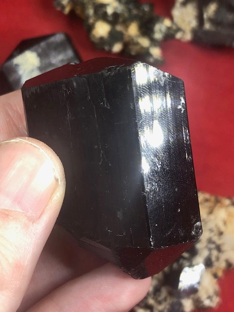 Schwarze Turmalin Kristallstufen mit Endflächen in bester Qualität, naturbelassen, Rauchquarz, Bergkristall, Quarz, Feldspat