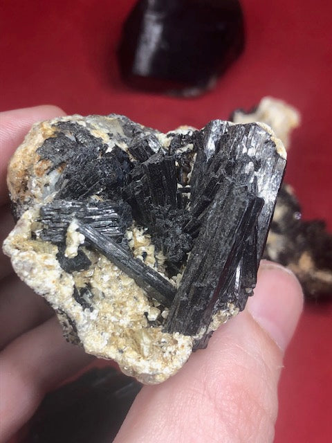 Schwarze Turmalin Kristallstufen mit Endflächen in bester Qualität, naturbelassen, Rauchquarz, Bergkristall, Quarz, Feldspat