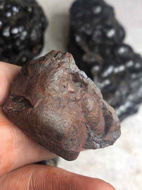 Hämatit Glaskopf – Natürliches Nierenerz (Schwarz-Silber oder Rot) aus Marokko