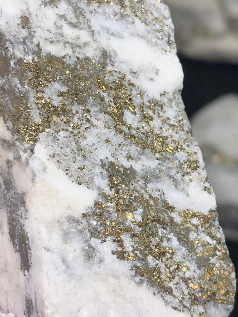 Pyrit in weißem Dolomit – Zuckerdolomit, goldglänzendes Katzengold aus dem Binntal (Schweiz)