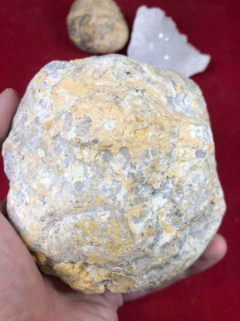 Quarz Geoden & Drusen geschlossen – Naturbelassene Kristalldrusen aus Marokko