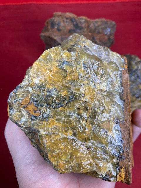 Pietersit gelb (Nellite) Lion Skin entweder Rohsteine oder Trommelsteine in bester Qualität, Tigerauge Falkenauge, Hämatit Quarz Jaspis