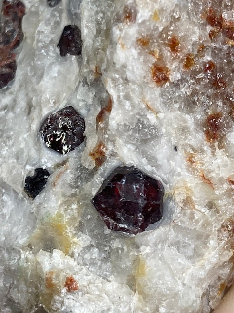Granat Kristalle auf Matrix – Dunkelroter Pyrop-Almandin in weißem Feldspat