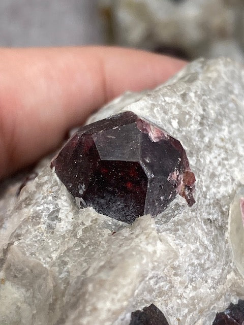 Granat (Rhodolit) Kristalle in weißer Feldspat Matrix beste Qualität