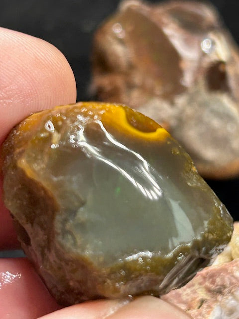 Edelopal Sammlung weltweit, 7 Stück Welo/ Boulder/ Feuer/ Glas Opal Hyalith Schwarzopal