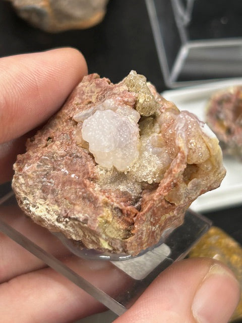 Edelopal Sammlung weltweit, 7 Stück Welo/ Boulder/ Feuer/ Glas Opal Hyalith Schwarzopal