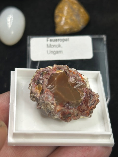 Edelopal Sammlung weltweit, 7 Stück Welo/ Boulder/ Feuer/ Glas Opal Hyalith Schwarzopal