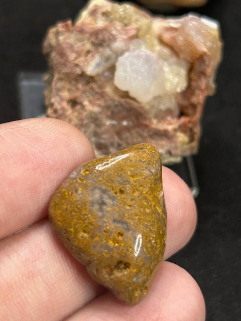 Edelopal Sammlung weltweit, 7 Stück Welo/ Boulder/ Feuer/ Glas Opal Hyalith Schwarzopal
