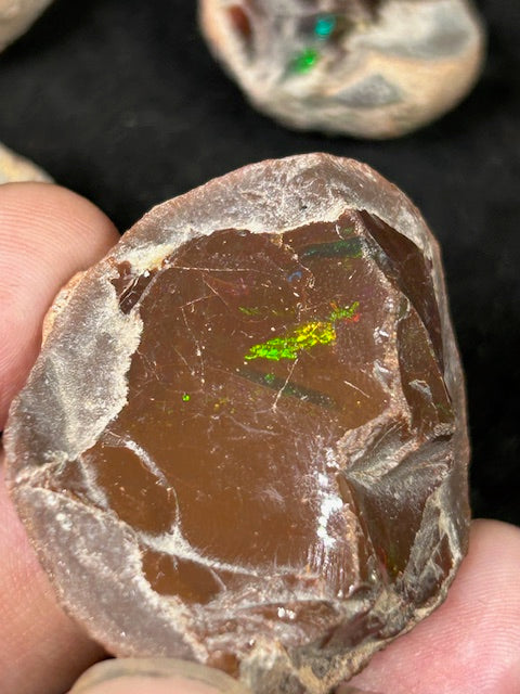 Edelopale A-Qualität Schokoladen Opal, Feueropal, Chocolate Opal, Großhandelspreis Matrix Opal
