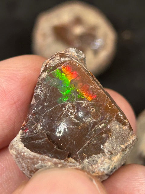 Edelopale A-Qualität Schokoladen Opal, Feueropal, Chocolate Opal, Großhandelspreis Matrix Opal
