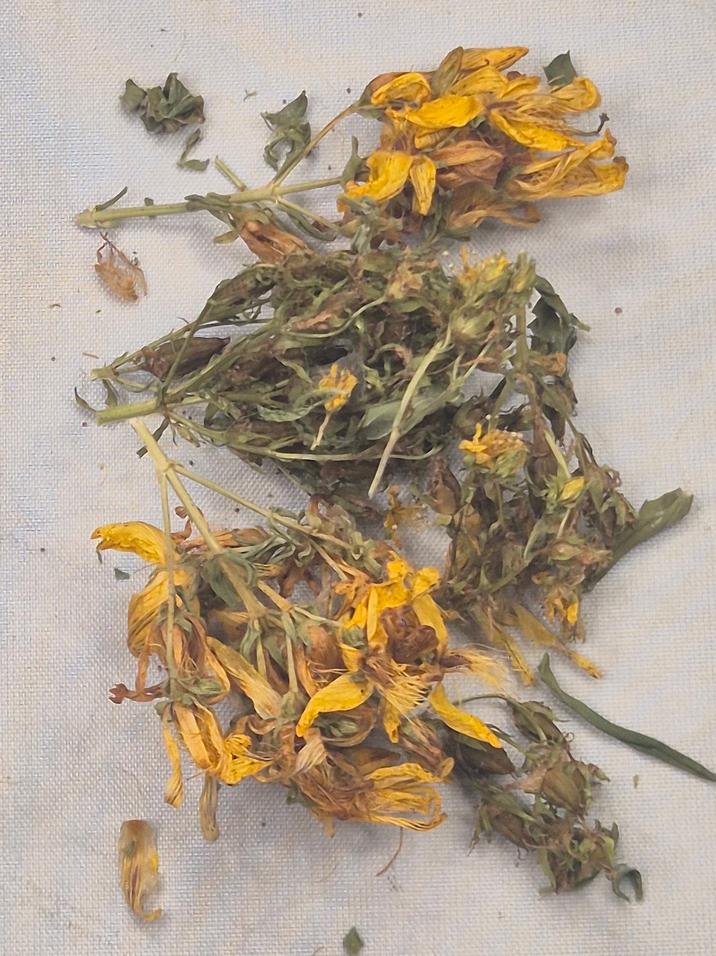 Johanniskraut getrocknet zum Räuchern, naturbelassen aus Österreich, Hypericum perforatum