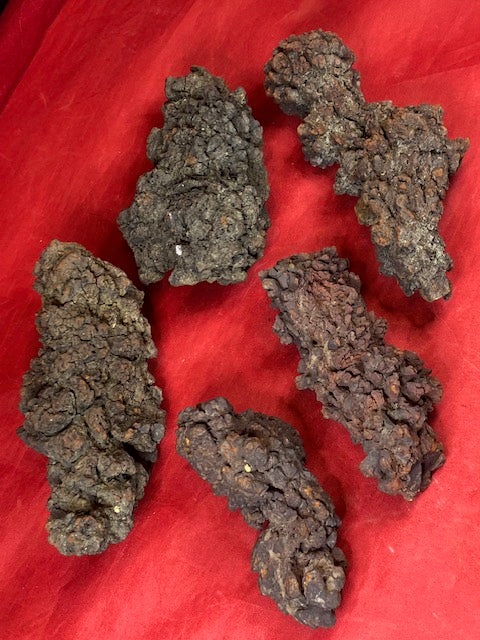 Koprolith Rohsteine, Dinosaurier Exkremte, Coprolite Fossile Kotsteine Scherzgeschenk