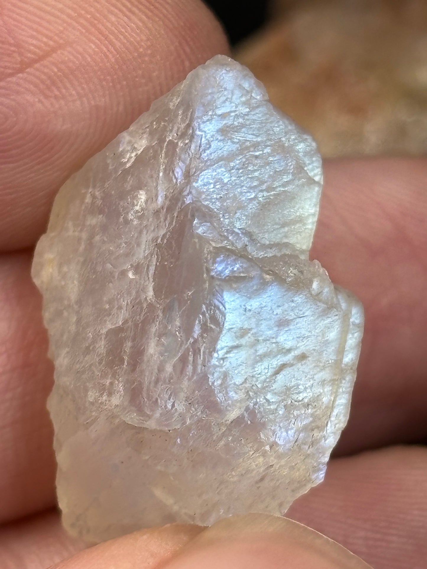 Mondstein & Sonnenstein Rohsteine in Facettierqualität