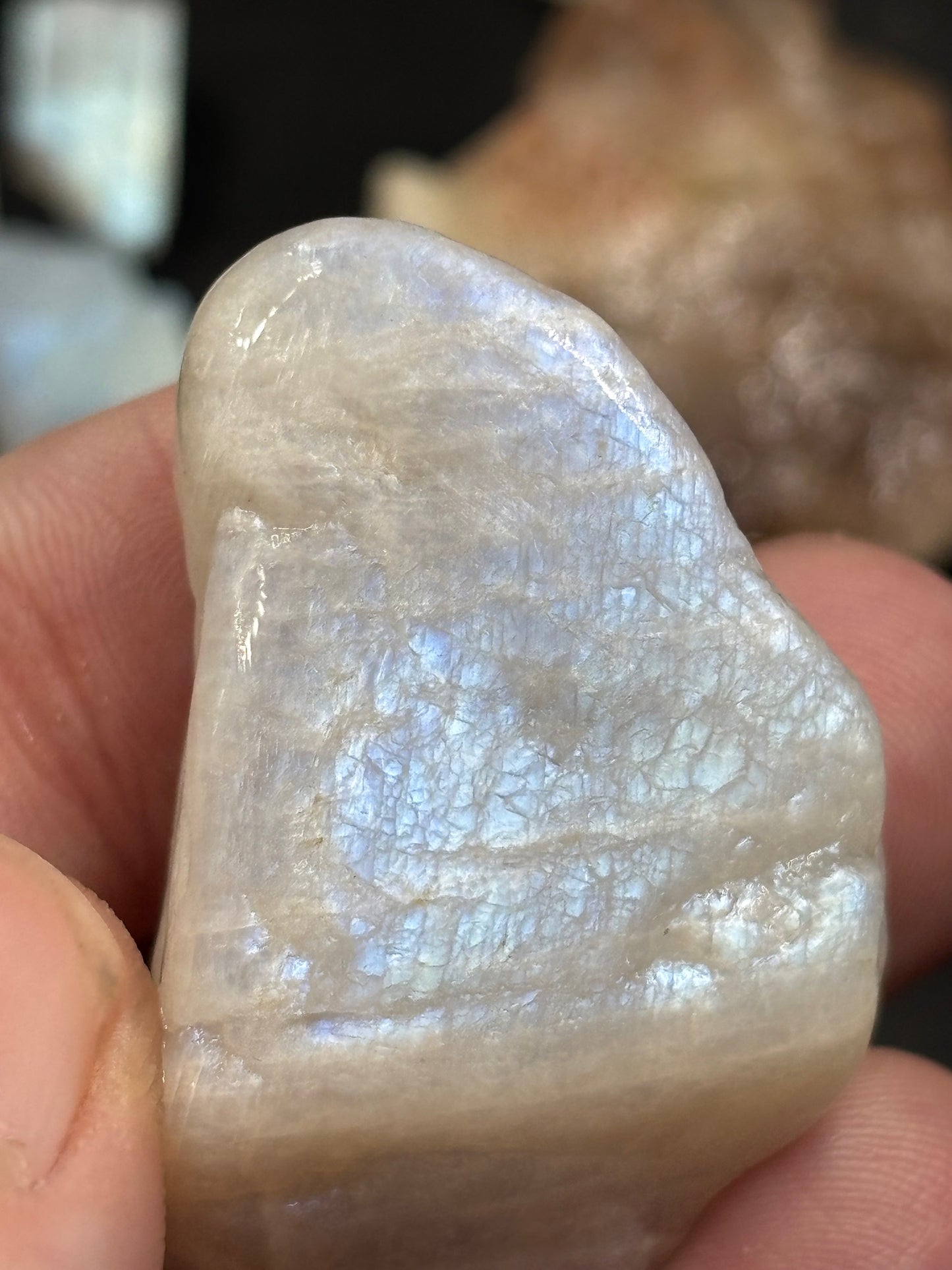 Mondstein & Sonnenstein Rohsteine in Facettierqualität